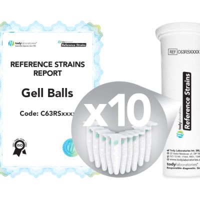 Clostridium perfringens